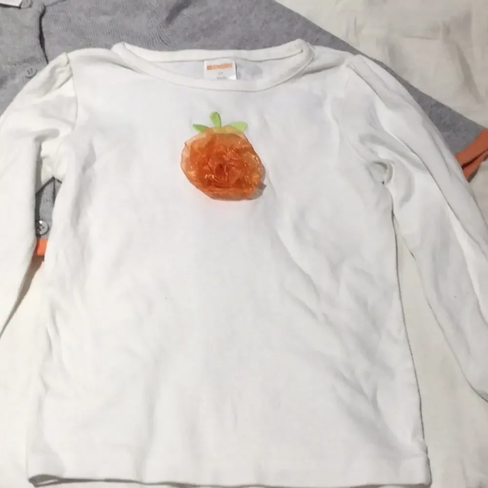 Gymboree 3t fall pumpkin sweater long t like new